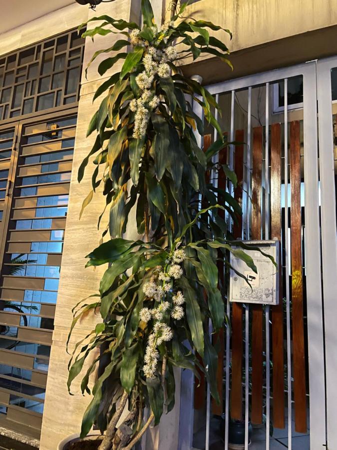 May Residence-800M From Opera House Hanoi Bagian luar foto