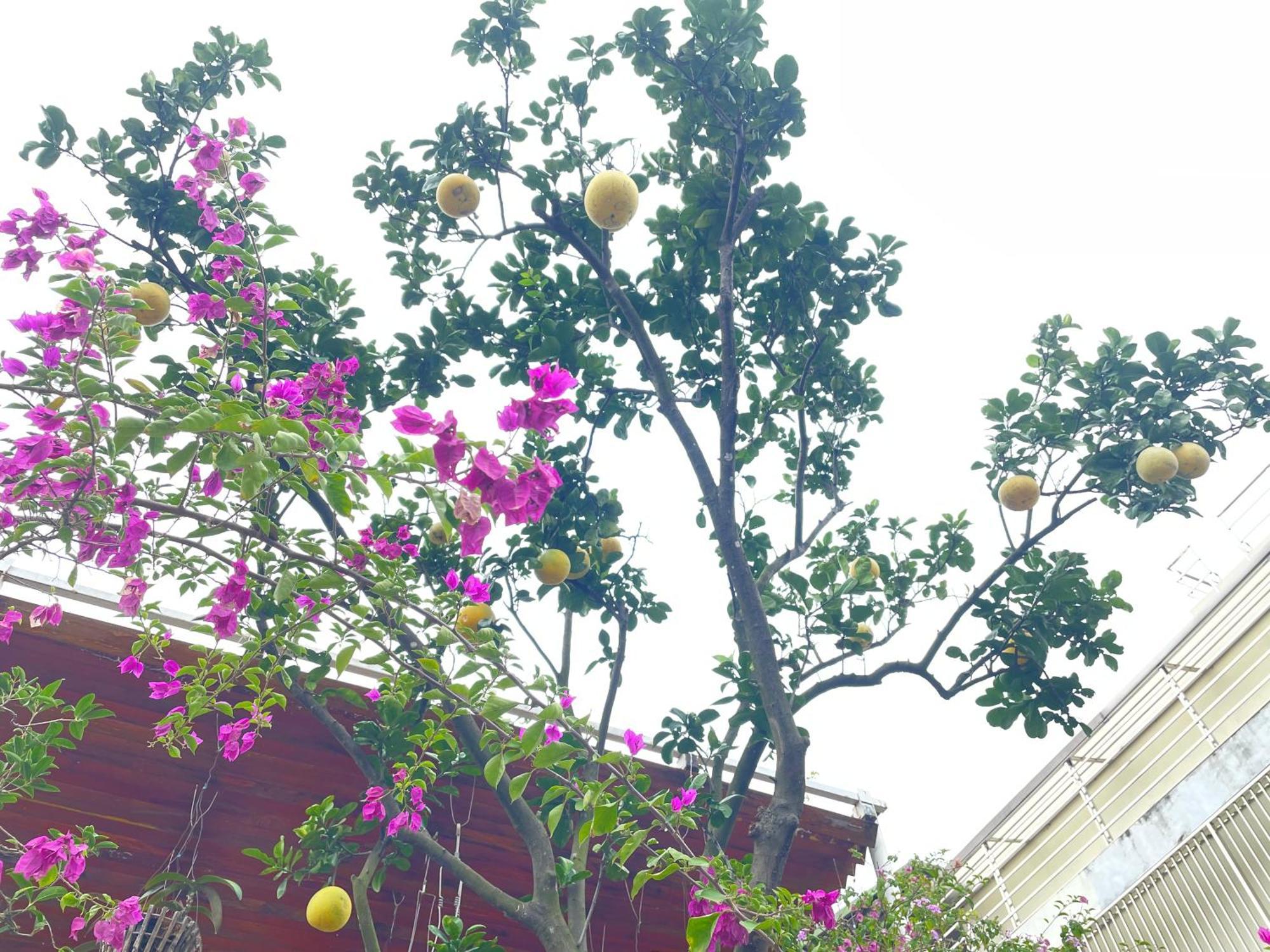 May Residence-800M From Opera House Hanoi Bagian luar foto